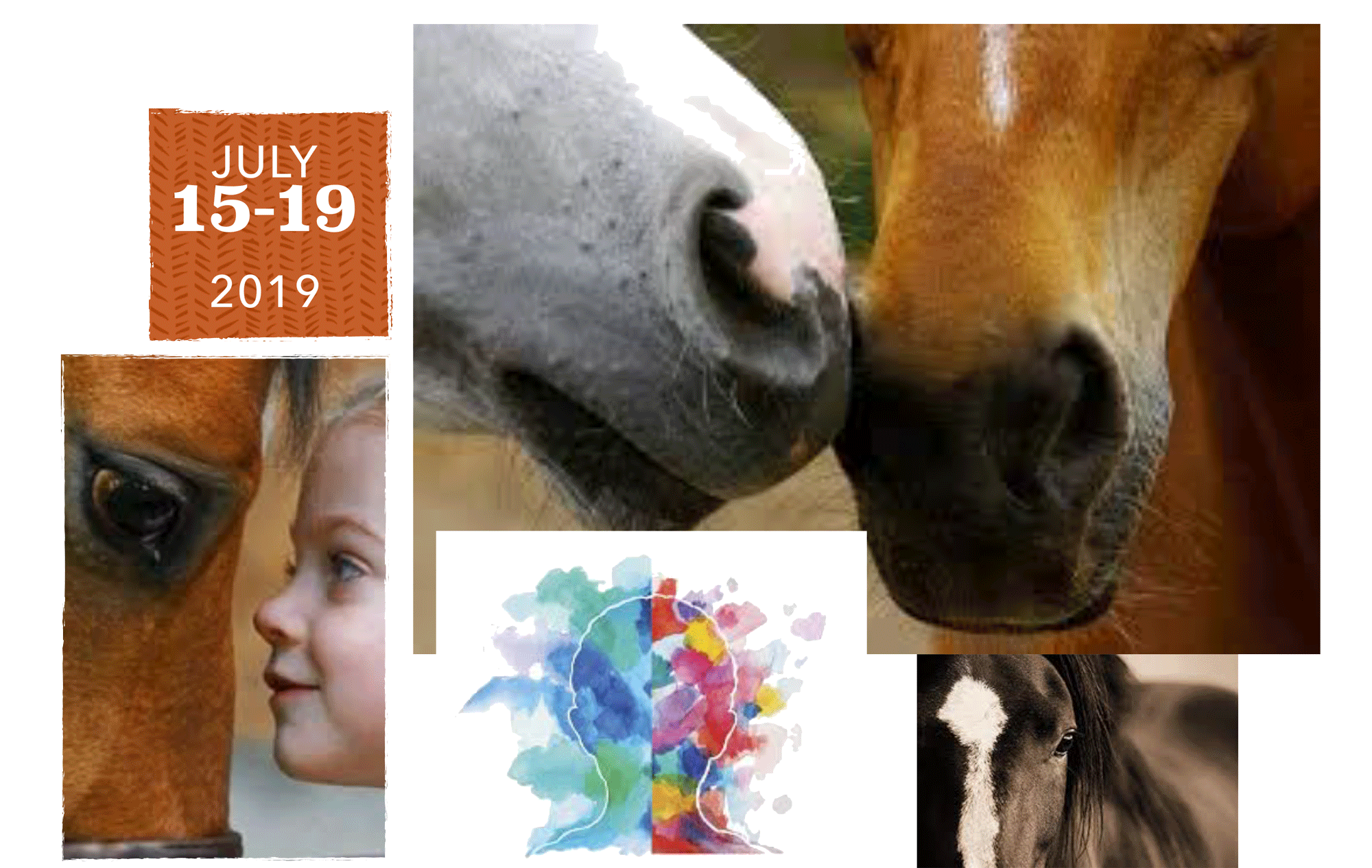 MINDCAP EQUESTRIAN DAY CAMP - JULY 15-19, 2019